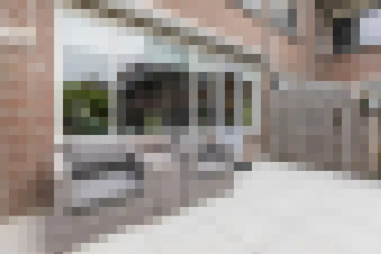 Smalweer 45 Sliedrecht thumbnail 31
