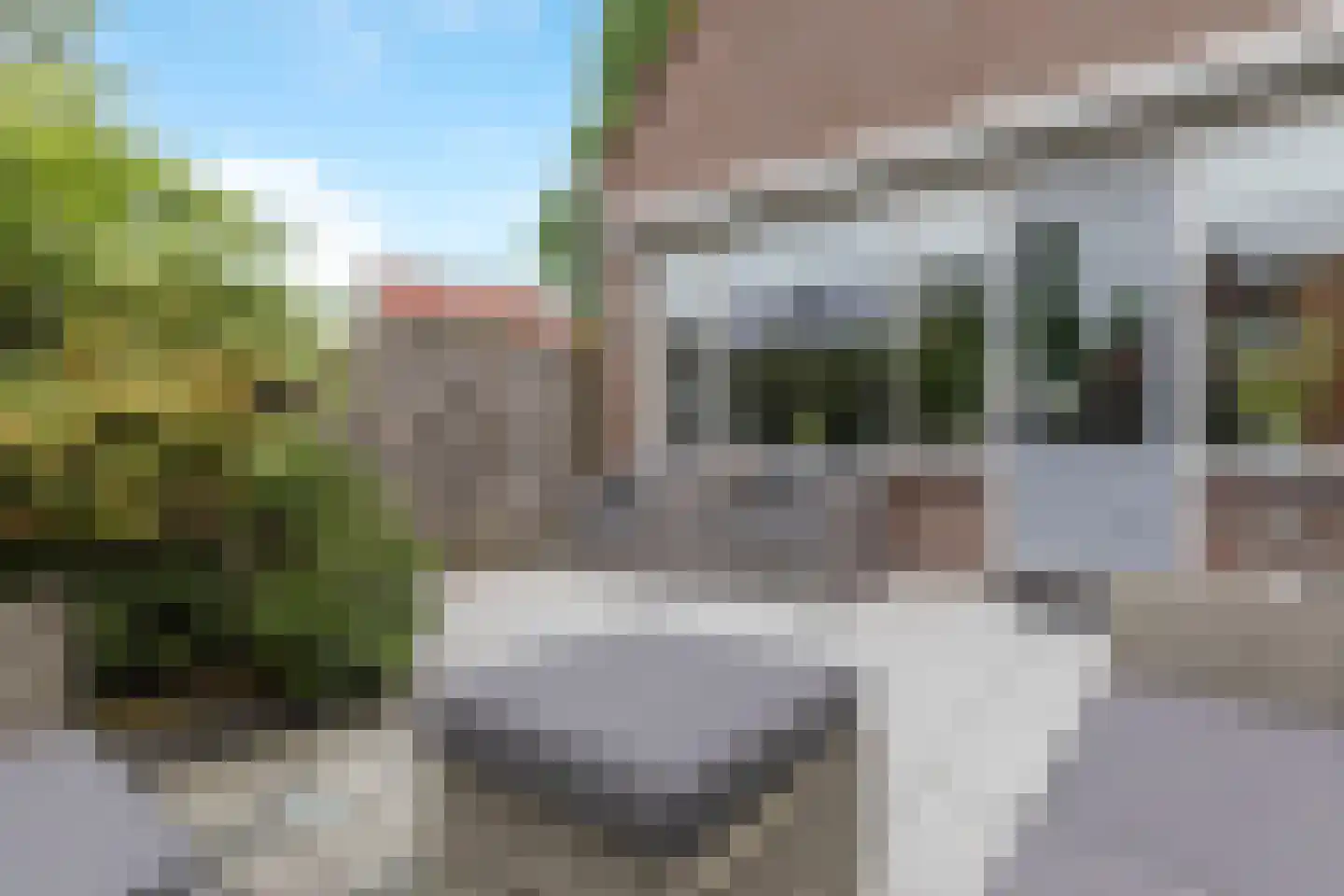 Smalweer 45 Sliedrecht thumbnail 34