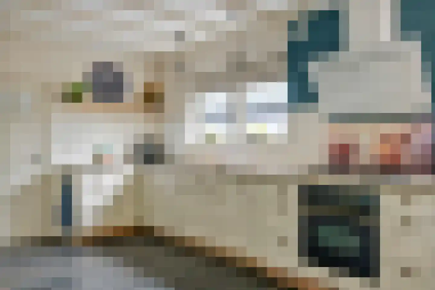 Smalzijde 6 Nieuwland thumbnail 18
