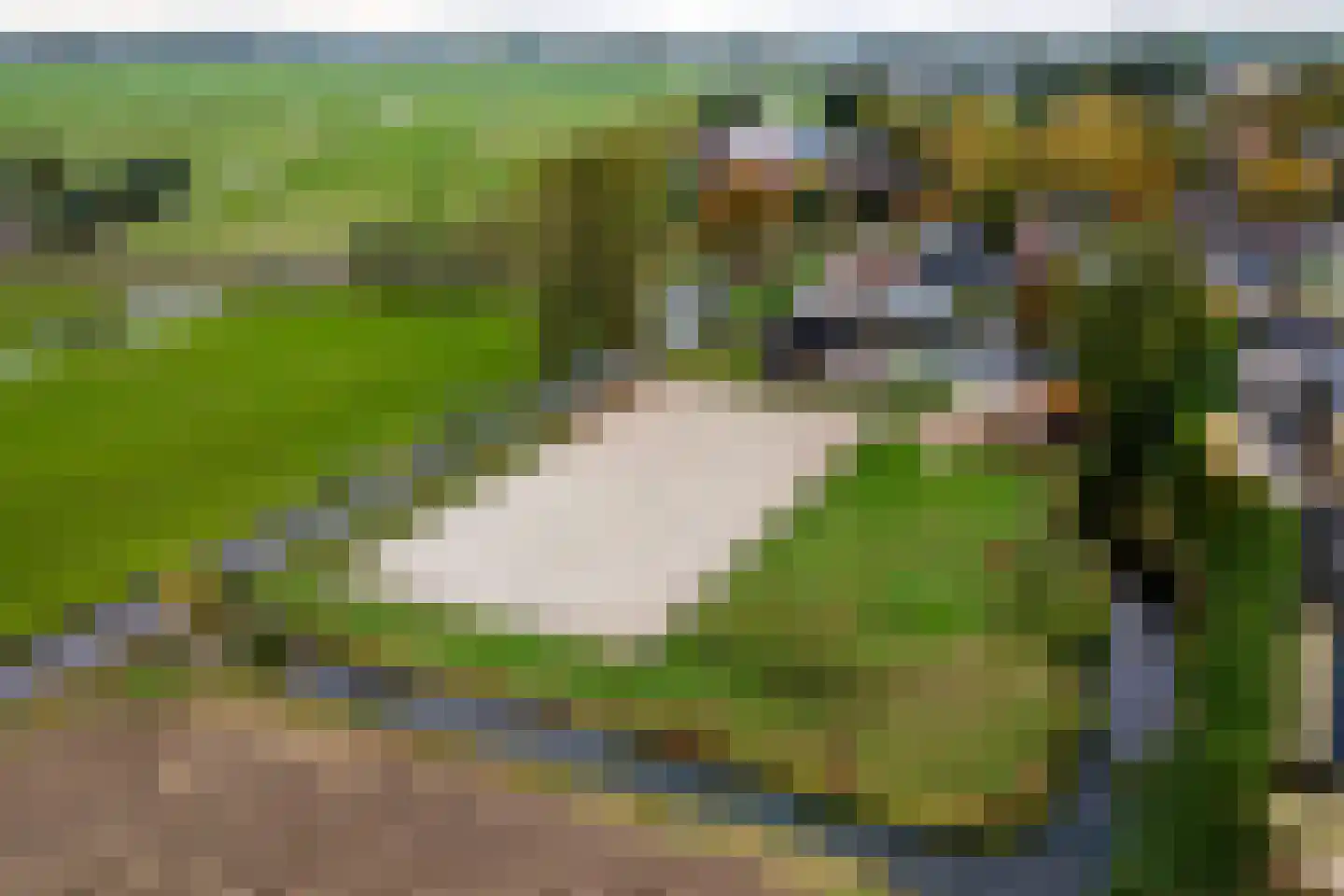 Smalzijde 6 Nieuwland foto 2