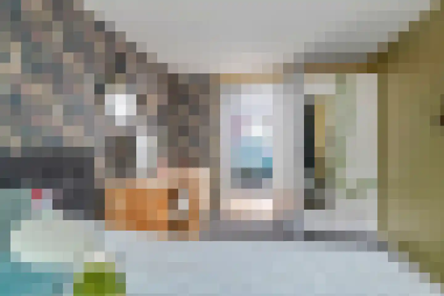 Smalzijde 6 Nieuwland thumbnail 34