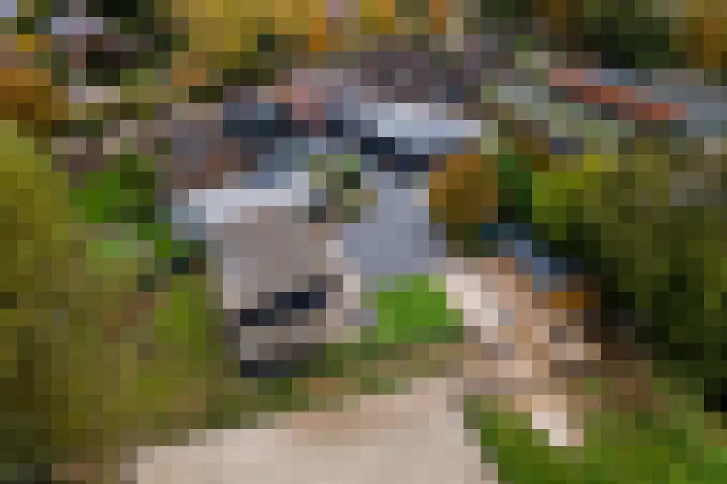 Smalzijde 6 Nieuwland thumbnail 6