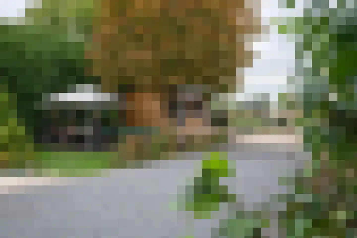 Smalzijde 6 Nieuwland thumbnail 75