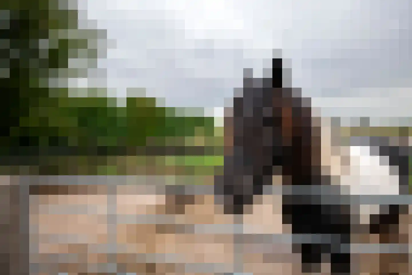 Smalzijde 6 Nieuwland thumbnail 81
