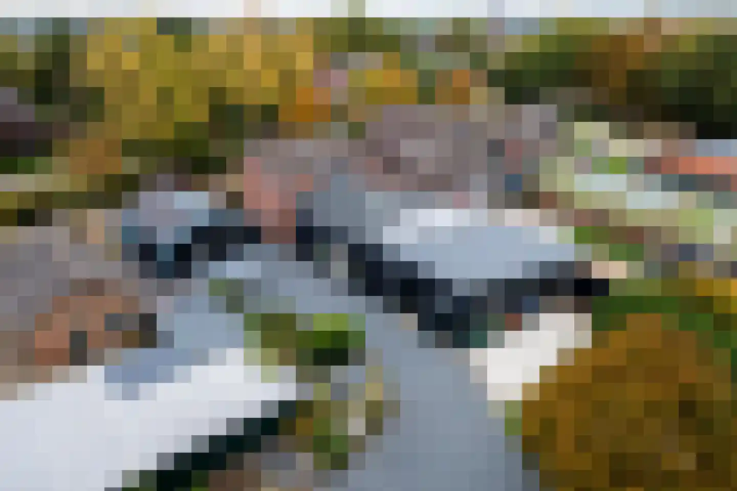 Smalzijde 6 Nieuwland thumbnail 85