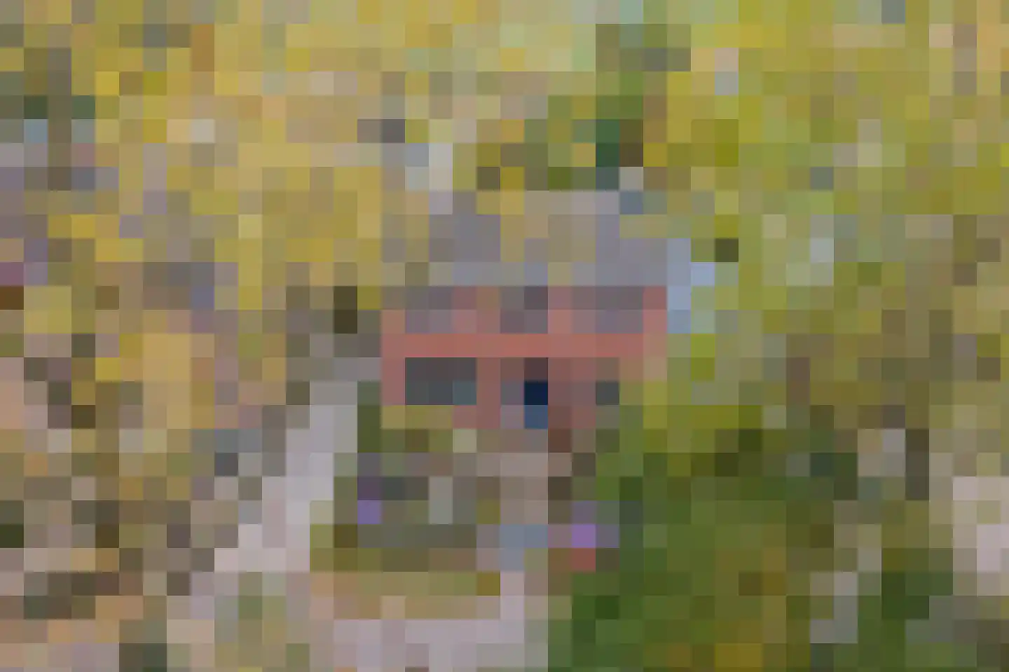 Smalzijde 6 Nieuwland thumbnail 87