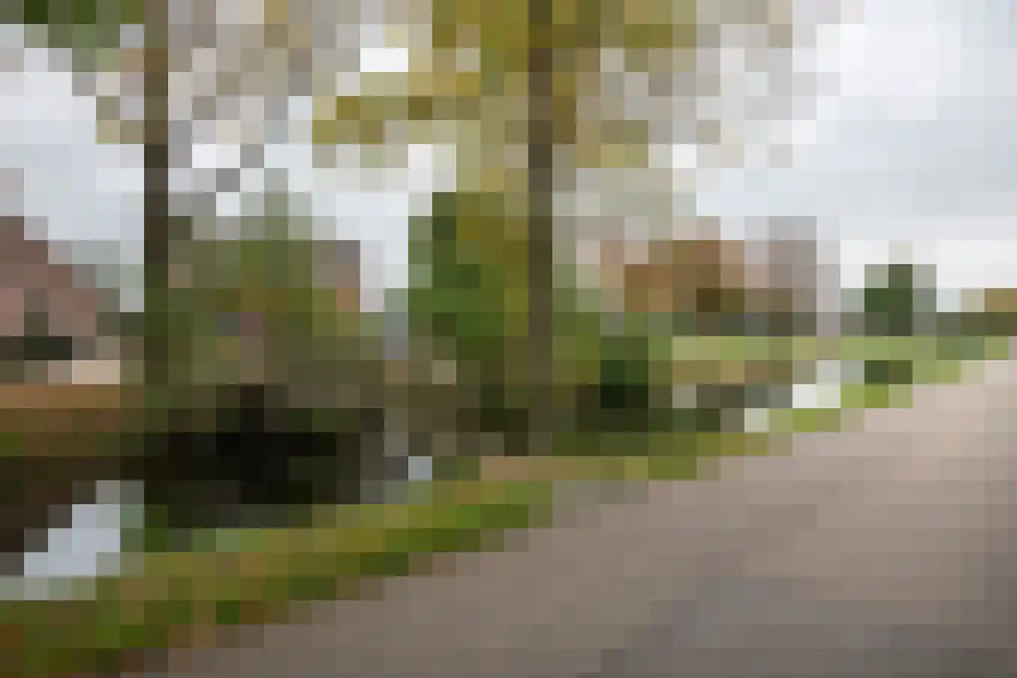 Smalzijde 6 Nieuwland thumbnail 88