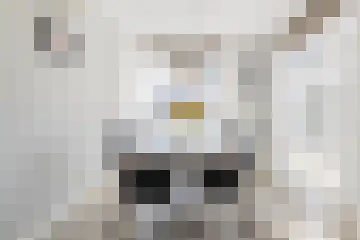 Smaragd 13 Venlo thumbnail 12