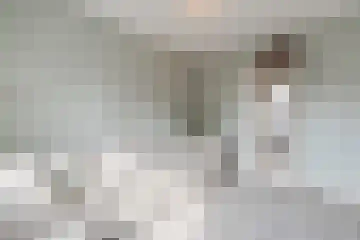 Smaragd 13 Venlo thumbnail 31