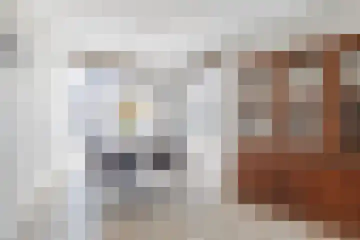 Smaragd 13 Venlo thumbnail 8