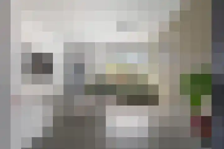 Smaragd 14 Heerhugowaard thumbnail 12