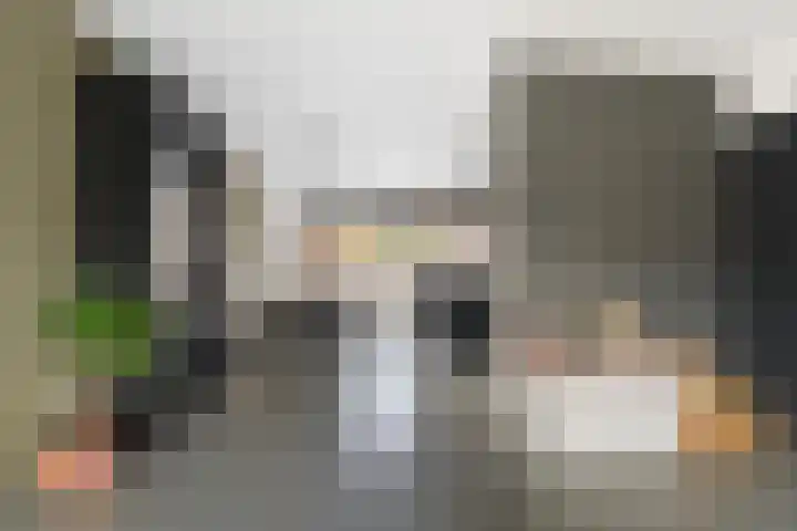 Smaragd 14 Heerhugowaard thumbnail 13