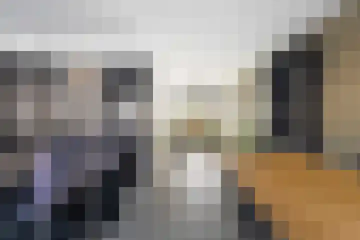 Smaragd 14 Heerhugowaard thumbnail 19