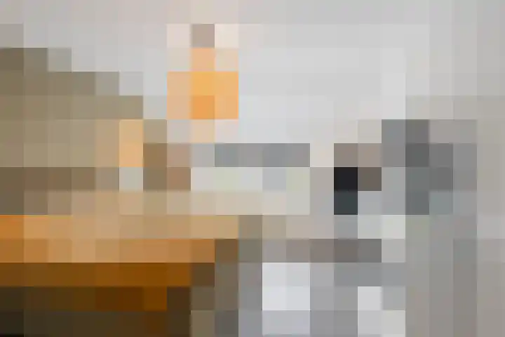 Smaragd 14 Heerhugowaard thumbnail 32