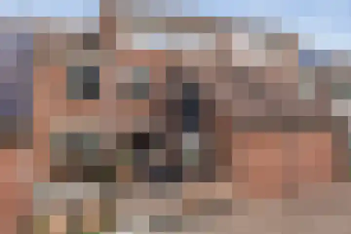 Smaragd 14 Heerhugowaard thumbnail 49