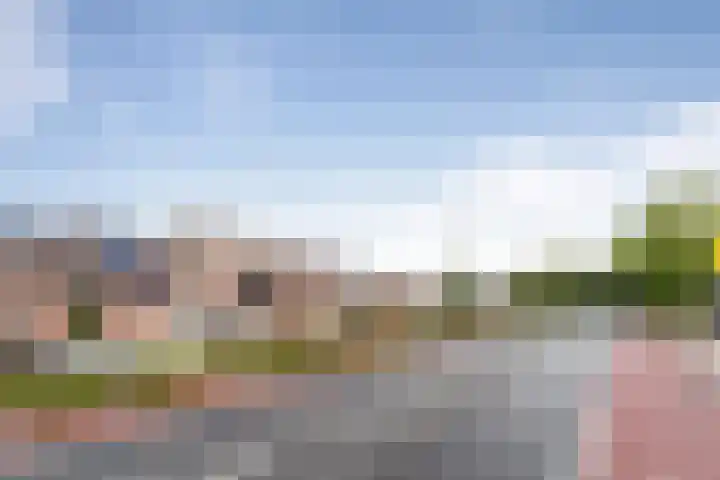 Smaragd 14 Heerhugowaard thumbnail 51