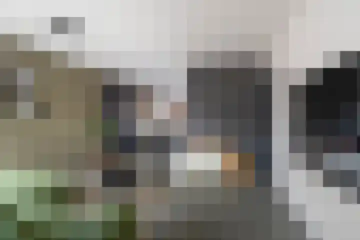 Smaragd 14 Heerhugowaard thumbnail 9