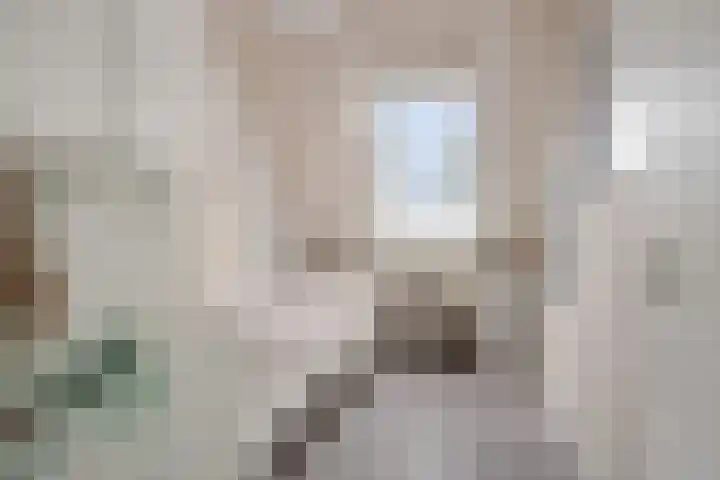 Smaragd 15 Hoorn thumbnail 12