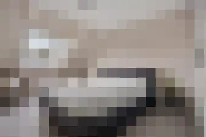 Smaragd 15 Hoorn thumbnail 14