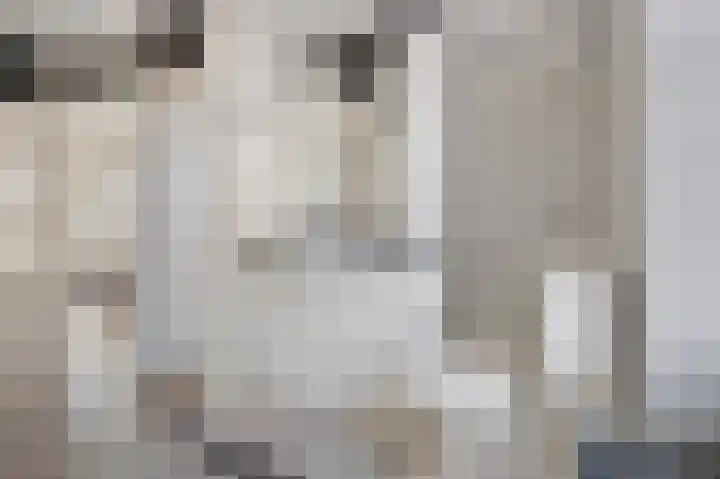 Smaragd 15 Hoorn thumbnail 19