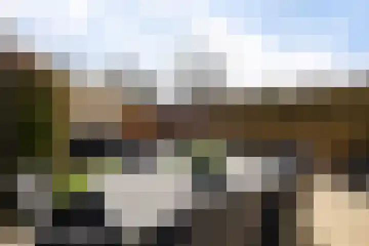 Smaragd 15 Hoorn thumbnail 23