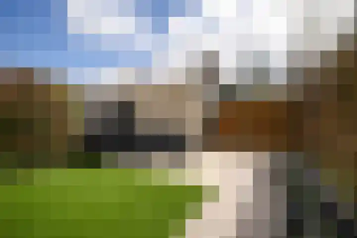 Smaragd 15 Hoorn thumbnail 24