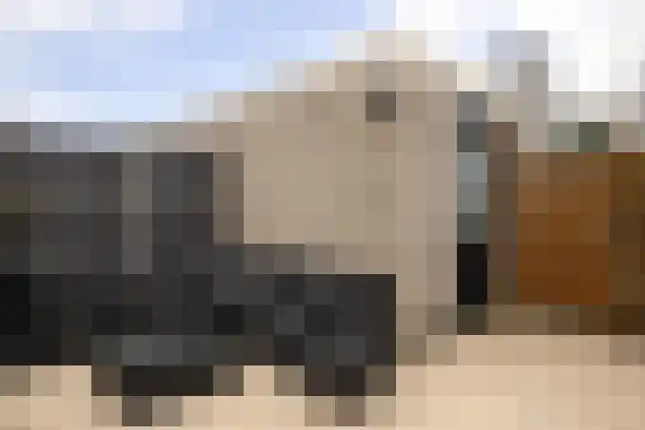Smaragd 15 Hoorn thumbnail 25