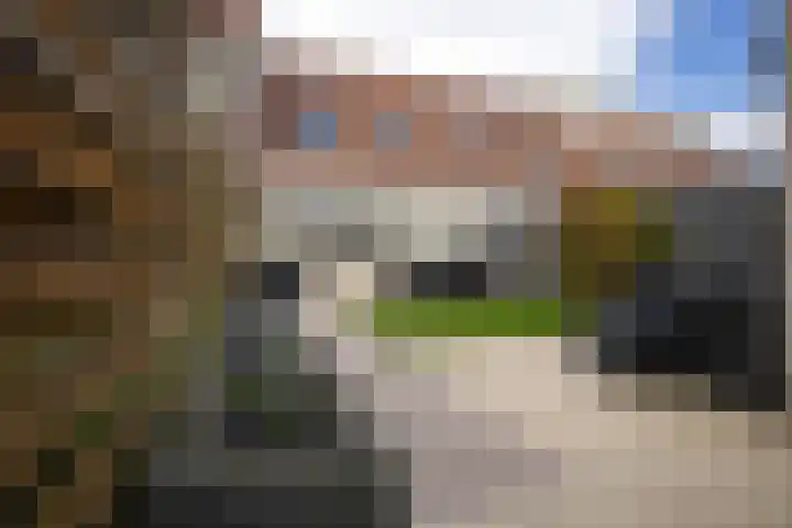 Smaragd 15 Hoorn thumbnail 27