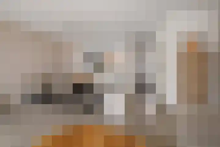 Smaragd 15 Hoorn thumbnail 4