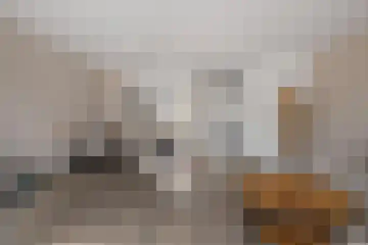 Smaragd 15 Hoorn thumbnail 5