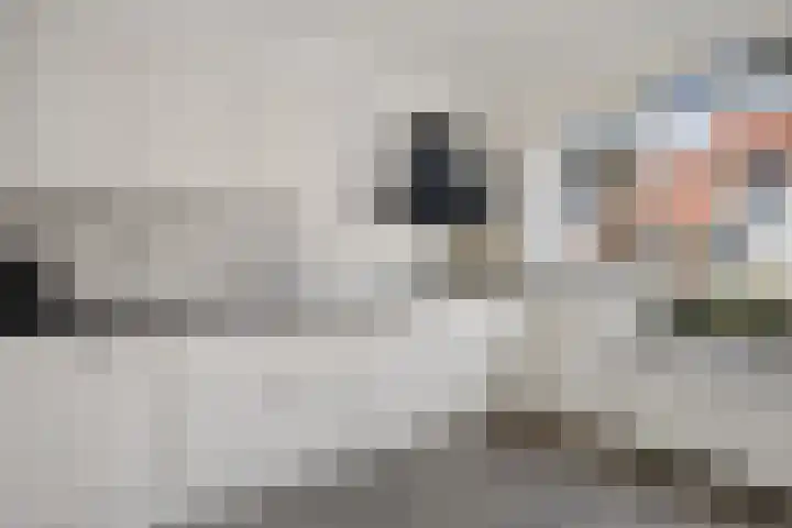 Smaragd 15 Hoorn thumbnail 7