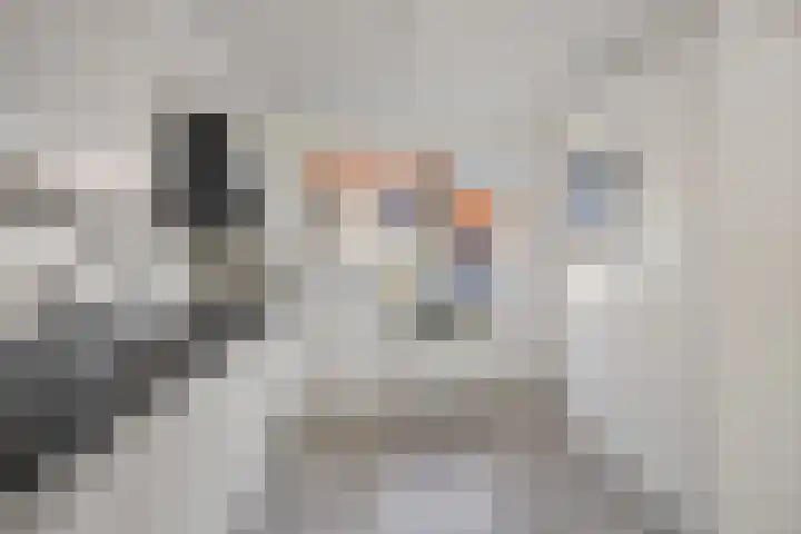 Smaragd 15 Hoorn thumbnail 8
