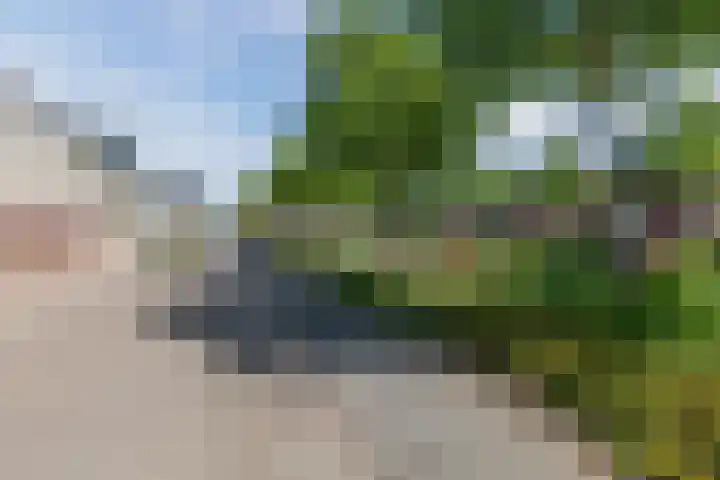 Smaragd 15 Venlo thumbnail 39