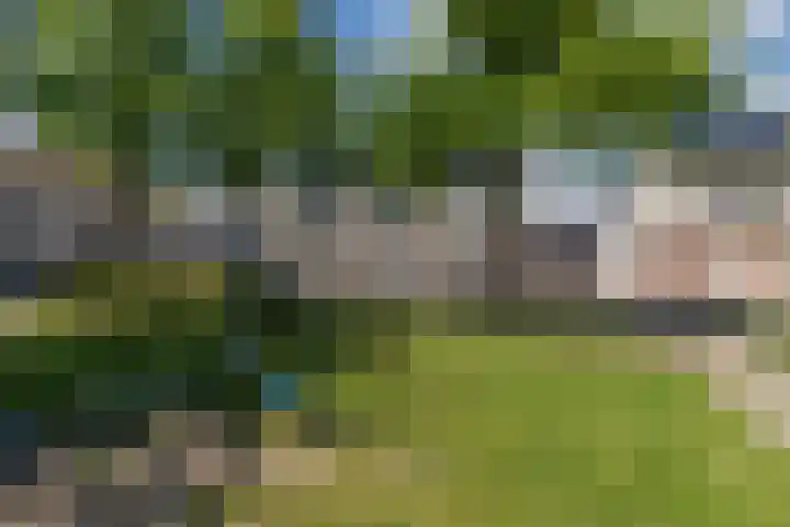 Smaragd 15 Venlo thumbnail 40