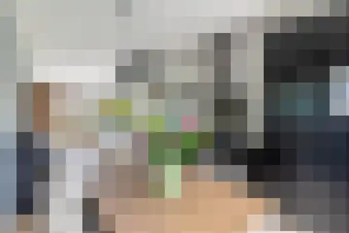 Smaragd 16 Drachten thumbnail 20