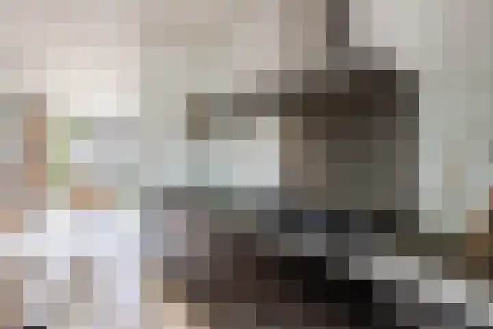 Smaragd 16 Drachten thumbnail 22