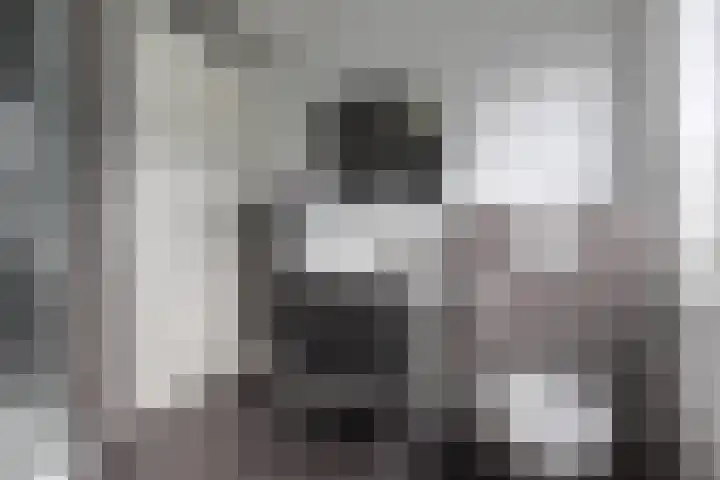 Smaragd 16 Drachten thumbnail 29