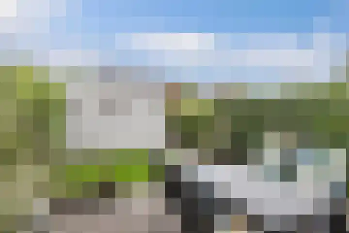 Smaragd 16 Drachten thumbnail 45