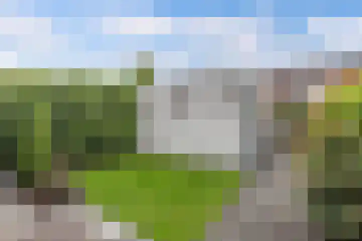 Smaragd 16 Drachten thumbnail 46
