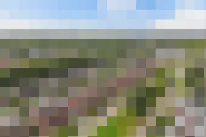 Smaragd 16 Drachten thumbnail 50