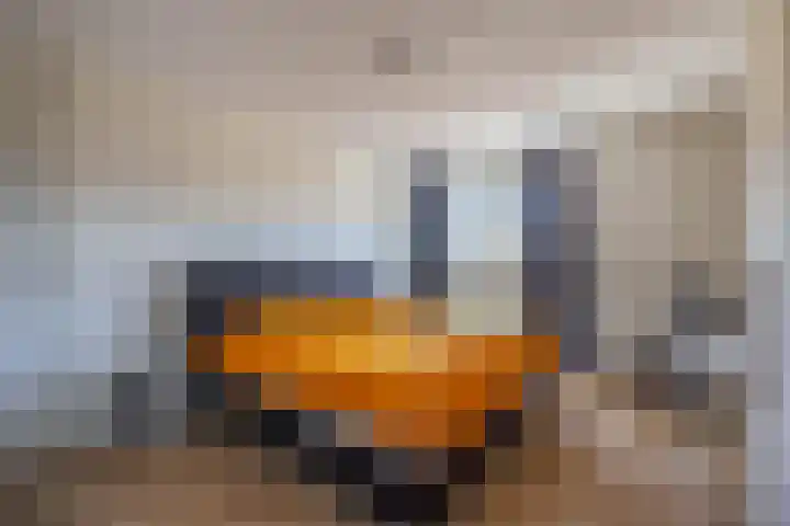 Smaragd 16 Venlo thumbnail 14