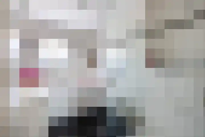 Smaragd 16 Venlo thumbnail 17