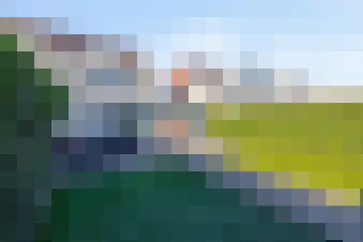 Smaragd 16 Venlo thumbnail 27