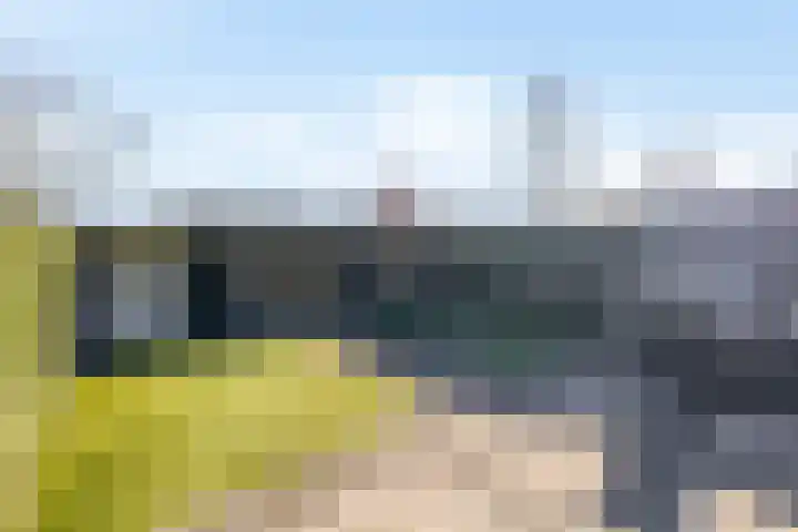 Smaragd 16 Venlo thumbnail 28