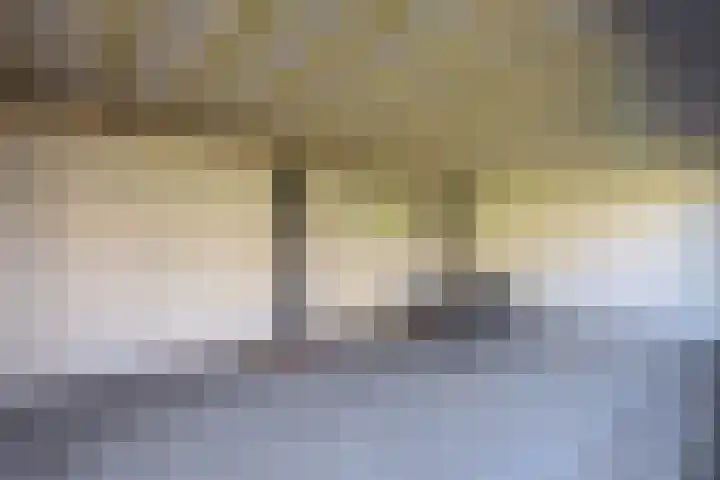 Smaragd 16 Venlo thumbnail 30