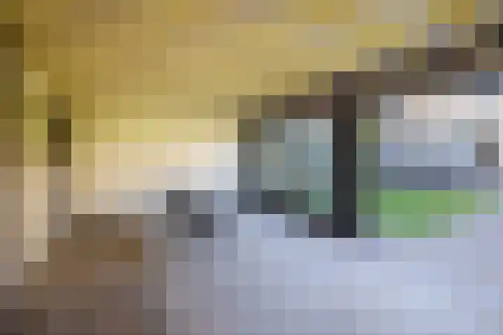 Smaragd 16 Venlo thumbnail 31