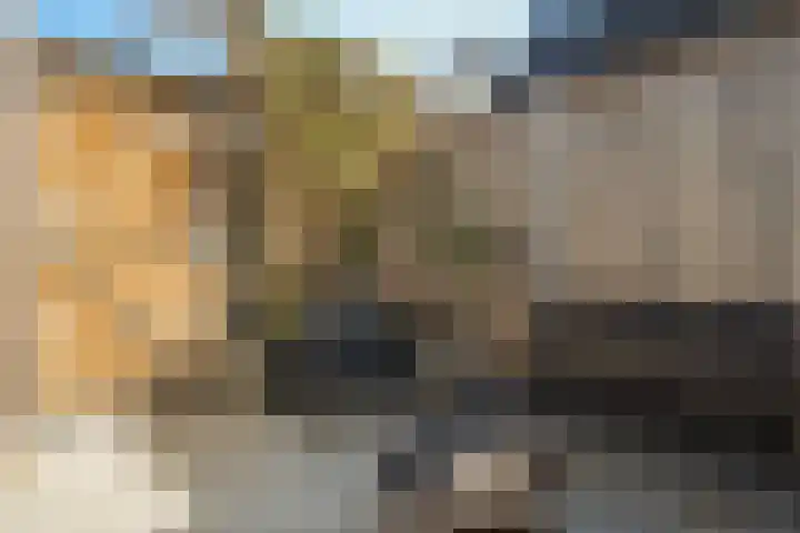 Smaragd 2 Roelofarendsveen thumbnail 13