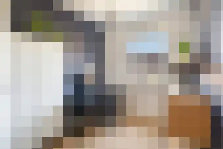 Smaragd 2 Roelofarendsveen thumbnail 18