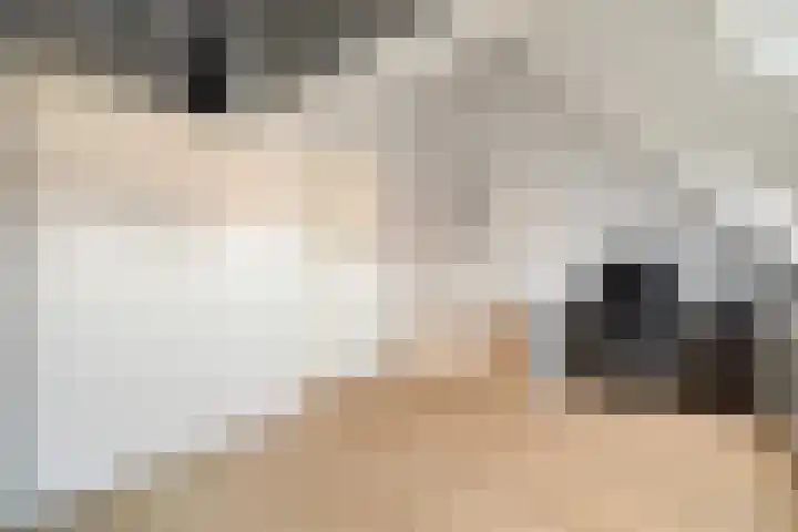 Smaragd 2 Roelofarendsveen thumbnail 21