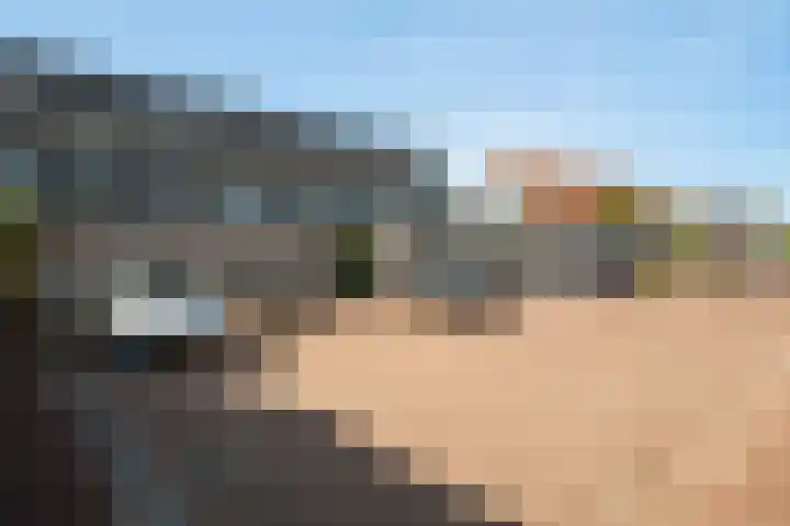 Smaragd 2 Roelofarendsveen thumbnail 23